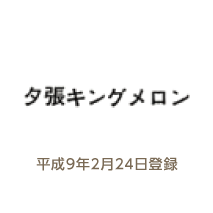 平成９年２月２４日登録