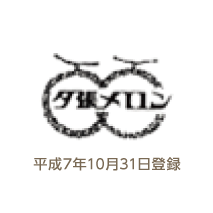 平成７年１０月３１日登録