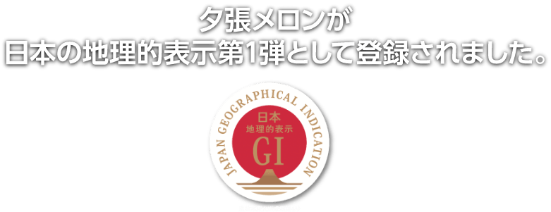 夕張メロンが日本の地理的表示第一弾として登録されました